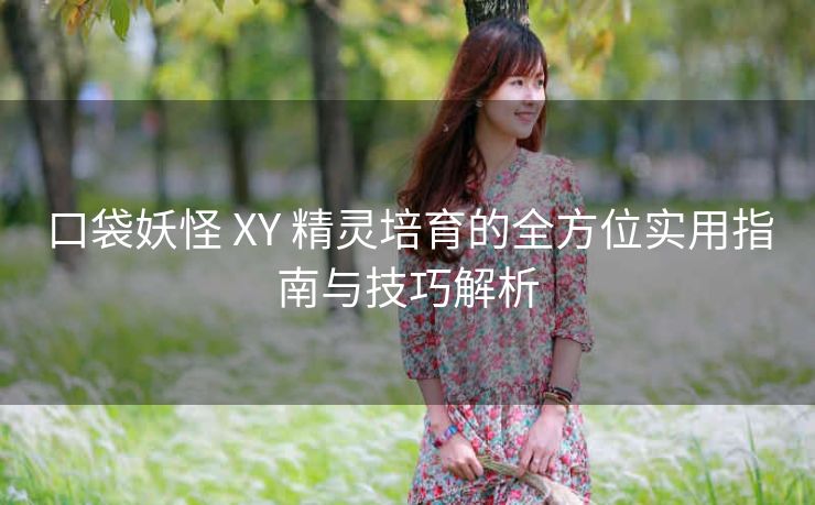 口袋妖怪 XY 精灵培育的全方位实用指南与技巧解析