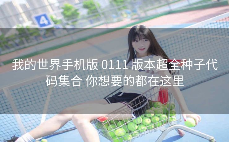 我的世界手机版 0111 版本超全种子代码集合 你想要的都在这里