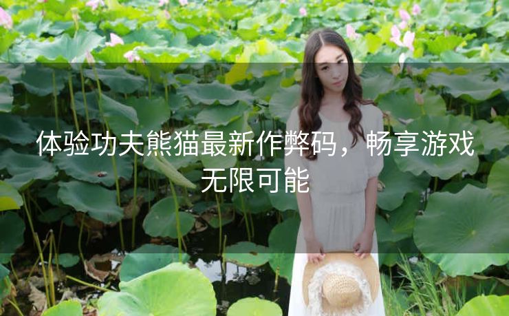 体验功夫熊猫最新作弊码，畅享游戏无限可能