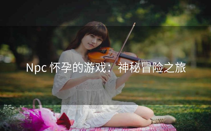 Npc 怀孕的游戏：神秘冒险之旅