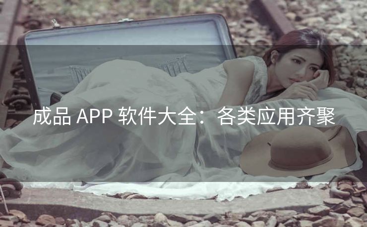 成品 APP 软件大全：各类应用齐聚