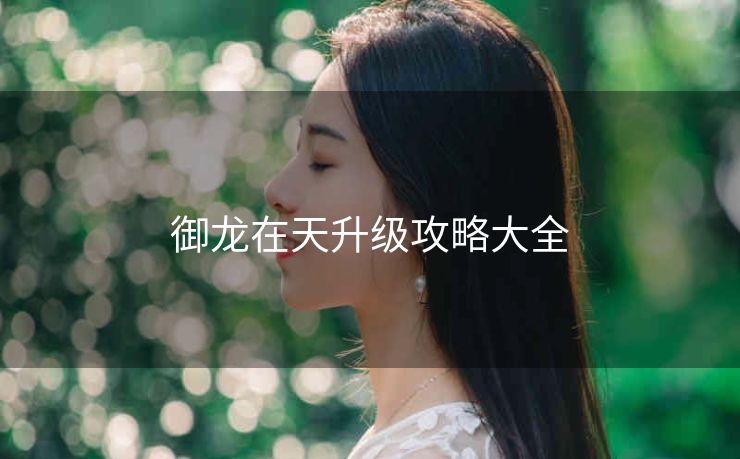 御龙在天升级攻略大全