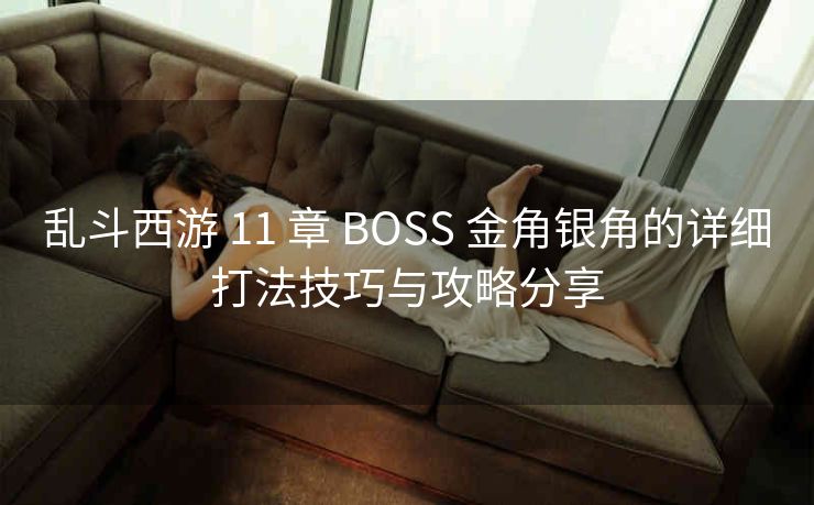 乱斗西游 11 章 BOSS 金角银角的详细打法技巧与攻略分享