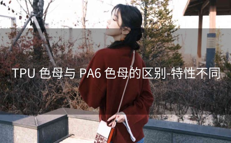 TPU 色母与 PA6 色母的区别-特性不同
