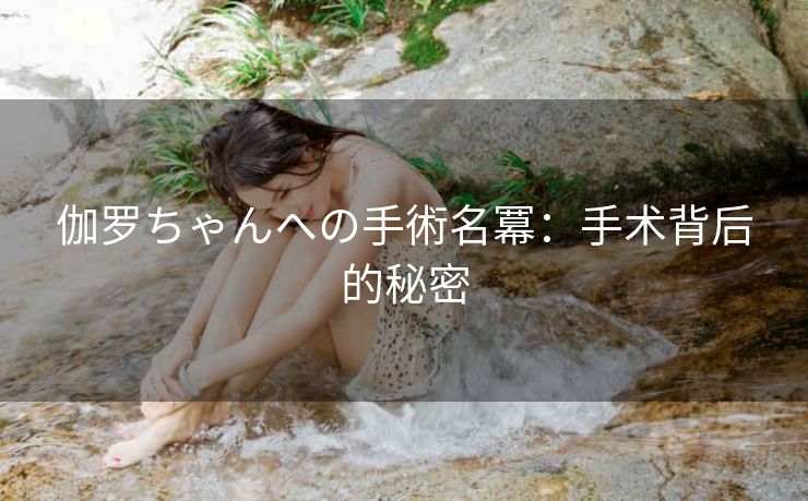 伽罗ちゃんへの手術名冪：手术背后的秘密