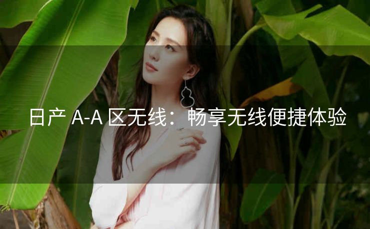 日产 A-A 区无线：畅享无线便捷体验