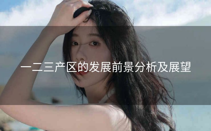 一二三产区的发展前景分析及展望