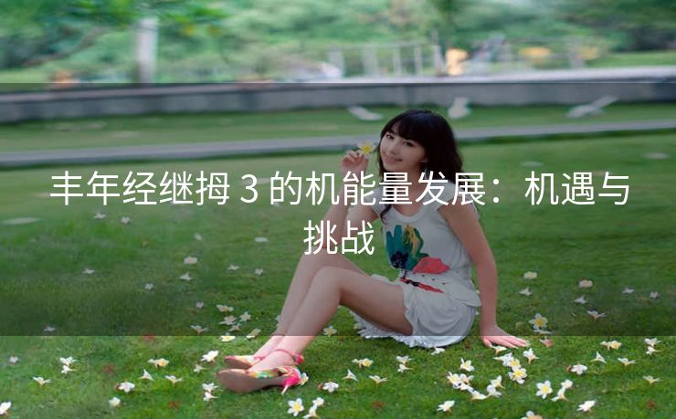 丰年经继拇 3 的机能量发展：机遇与挑战