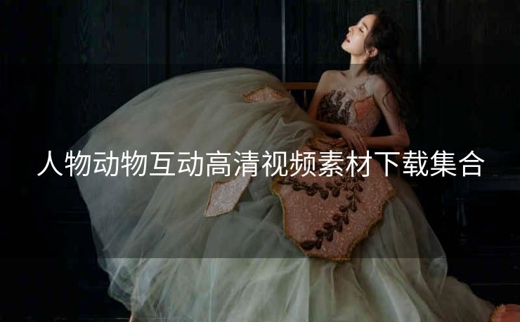 人物动物互动高清视频素材下载集合