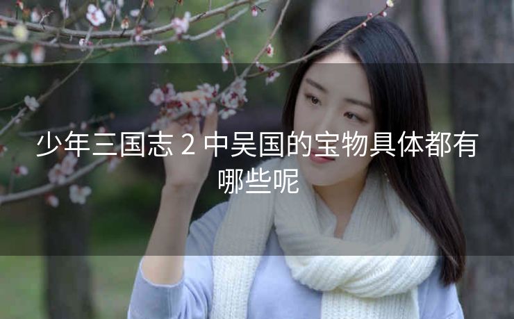 少年三国志 2 中吴国的宝物具体都有哪些呢