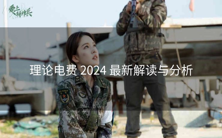 理论电费 2024 最新解读与分析