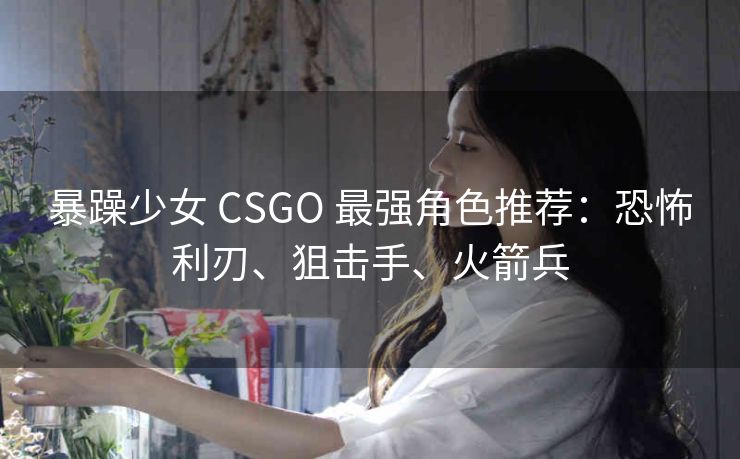 暴躁少女 CSGO 最强角色推荐：恐怖利刃、狙击手、火箭兵