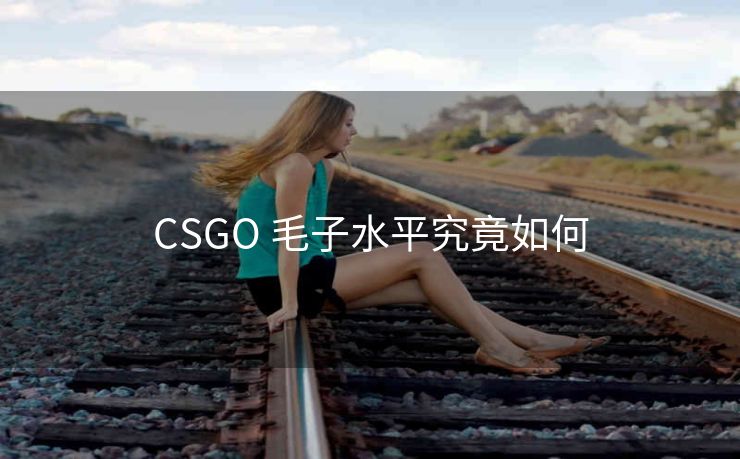 CSGO 毛子水平究竟如何