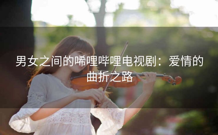 男女之间的唏哩哔哩电视剧：爱情的曲折之路