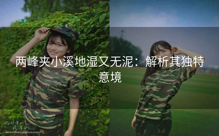 两峰夹小溪地湿又无泥：解析其独特意境