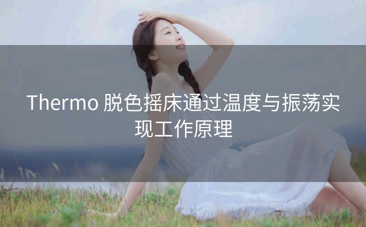 Thermo 脱色摇床通过温度与振荡实现工作原理