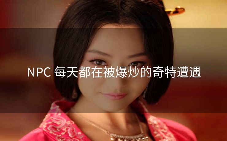 NPC 每天都在被爆炒的奇特遭遇