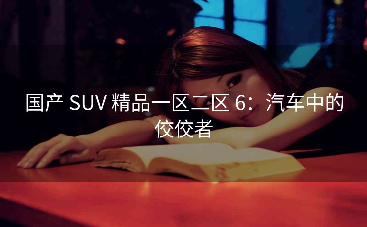 国产 SUV 精品一区二区 6：汽车中的佼佼者
