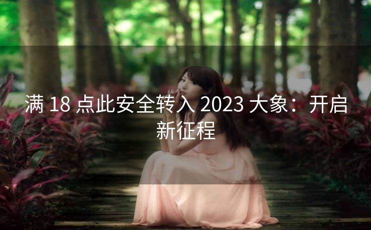 满 18 点此安全转入 2023 大象：开启新征程