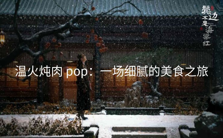 温火炖肉 pop：一场细腻的美食之旅