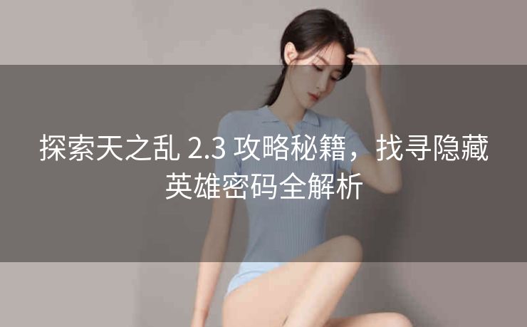 探索天之乱 2.3 攻略秘籍，找寻隐藏英雄密码全解析