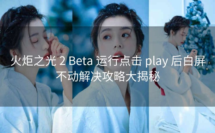 火炬之光 2 Beta 运行点击 play 后白屏不动解决攻略大揭秘