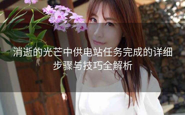 消逝的光芒中供电站任务完成的详细步骤与技巧全解析