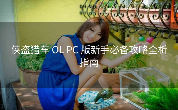 侠盗猎车 OL PC 版新手必备攻略全析指南