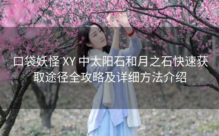 口袋妖怪 XY 中太阳石和月之石快速获取途径全攻略及详细方法介绍