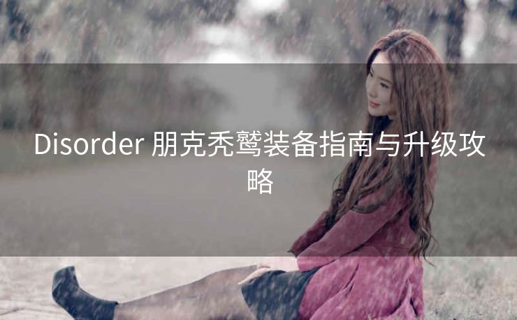 Disorder 朋克秃鹫装备指南与升级攻略